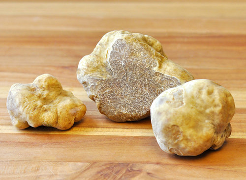 truffle italian white thumbnail